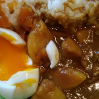 半熟たまごカレー